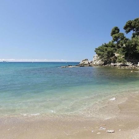 Appartement T2 Rez De Villa Proche Bord De Mer Le Pradet Kültér fotó